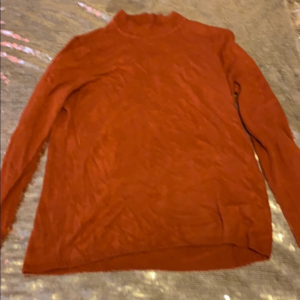 Burnt Orange turtleneck sweater